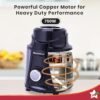 Wonderchef Galaxy Mixer Grinder 750 100% Copper Motor, 4 Stainless Steel Jars, Black & Grey, ... - Image 3