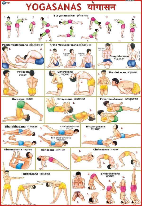Yoga Chart ( 70 x 100 cm ) [wall_chart] Vidya Chitr Prakashan,yoga [Jan 01, 2016]…