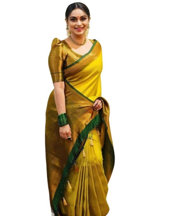 Yashika Women's Fancy Banarasi Kanjivaram Art ...