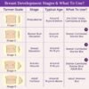 Adira | Cotton Camisole for Beginners | Beginn... - Image 6