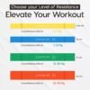 WiseLife Resistance Power Band, Pull Up Bands, Pull Up Assistance Bands, Workout Bands, Exercise Bands, Resistance Bands for Legs, Working Out, Muscle Training, Pull Up Assist Upto 7 Kg (Yellow) - Image 4