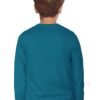 Allen Solly Boys Cotton Round Neck Sweatshirt - Image 2